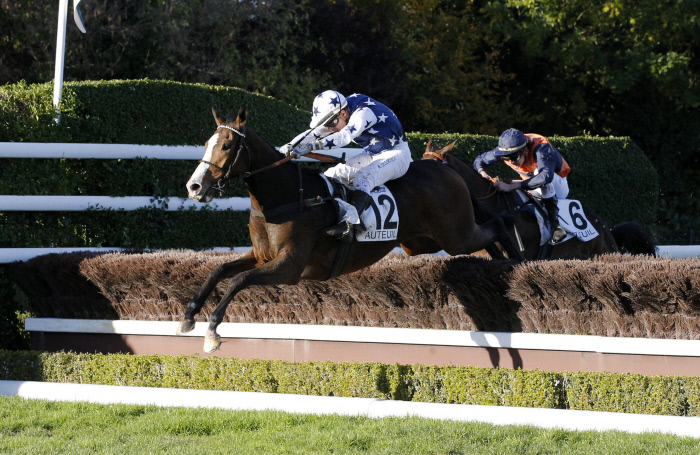 HIPPISME : Prix Marc Antony - Auteuil - 5eme course - 10/11/2013