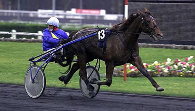 achat part trotteur course