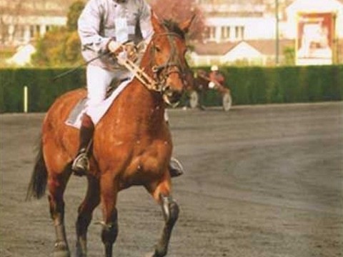 Milou d&rsquo;Allamps