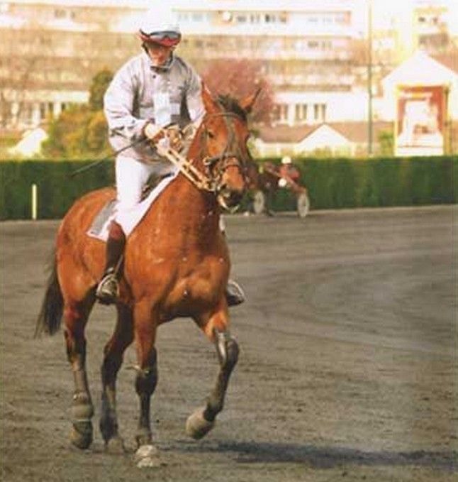 Milou d&rsquo;Allamps