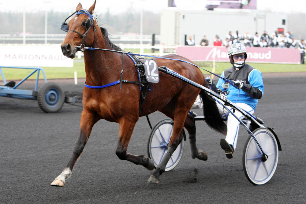 Timoko