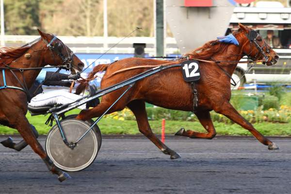 Gloria d&rsquo;Iraty