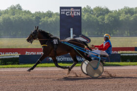 My Winner Rush