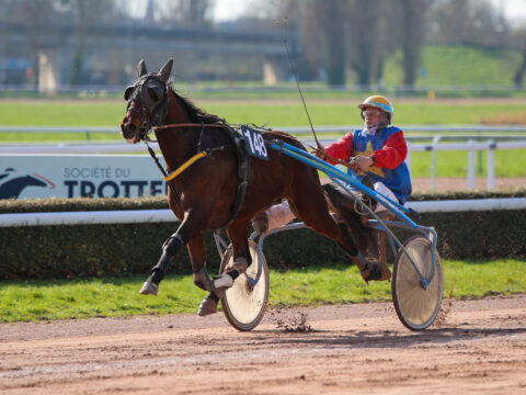 Nickel du Bourg