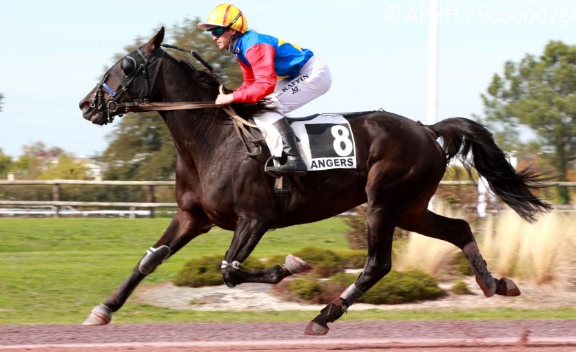 Joselito du Vivier