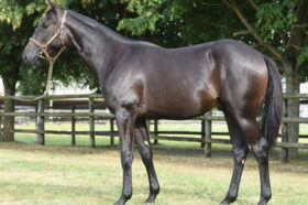 Olhain d&rsquo;Héripre