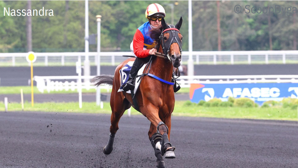 Nassandra Vincennes photo Scoopdyga