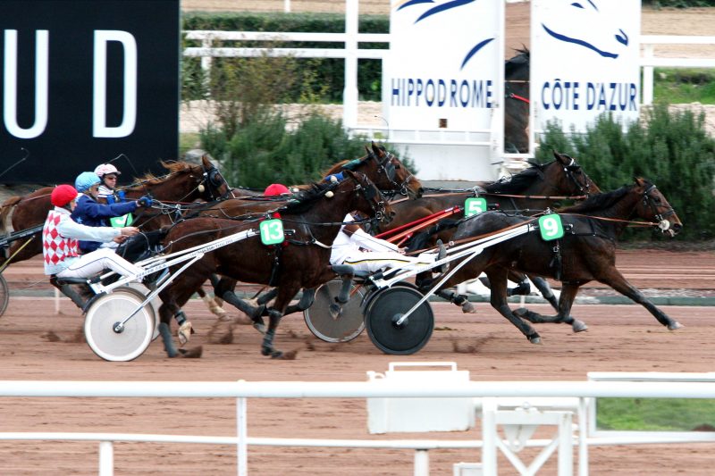 part trotteur a vendre